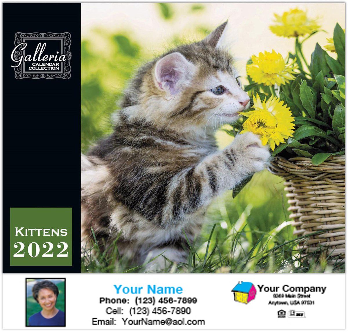ReaMark Products: Kittens